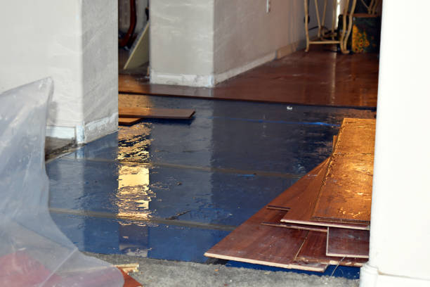 Professional Water Damage technician working in Burnet, TX